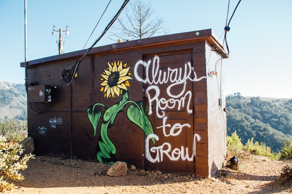 mural reading: Always room to grow